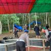 Polres Tulang Bawang Gerebek Dua Lokasi Judi Sabung Ayam di Areal Perkebunan Karet