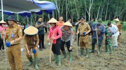 Dukung Ketahanan Pangan Nasional, Polres Tulang Bawang Barat Bekerjasama Pemda Tubaba Tanam Jagung di Lahan 276 Hektare