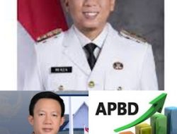 Realisasi APBD Provinsi Lampung Bulan Mei 2025 di Atas Rata-Rata Nasional, Kinerja BPKAD Baik dan Optimal