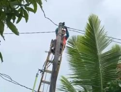 Warga Apresiasi Aksi Cepat PLN Sribhawono Pulihkan Keamanan Listrik Desa