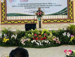 Bupati Lampung Timur Dampingi Wamenperin RI, Dorong Hilirisasi Singkong untuk Perkuat Industri Daerah