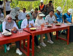 Tingkatkan Ketahanan Pangan, Ela Siti Nuryamah Percepat Program Listrik Masuk Sawah